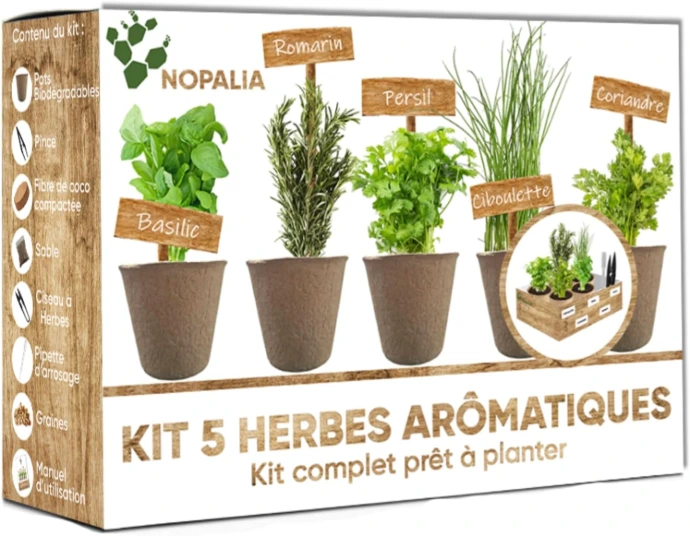 kit herbes aromatiques cadeau enfant
